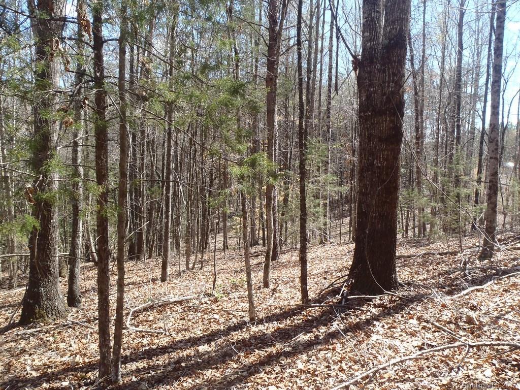 Lot # Boy Scout Road, Unit 16 Union Mills, NC 28167 - Photo 9 of 13 Gallery Image 9