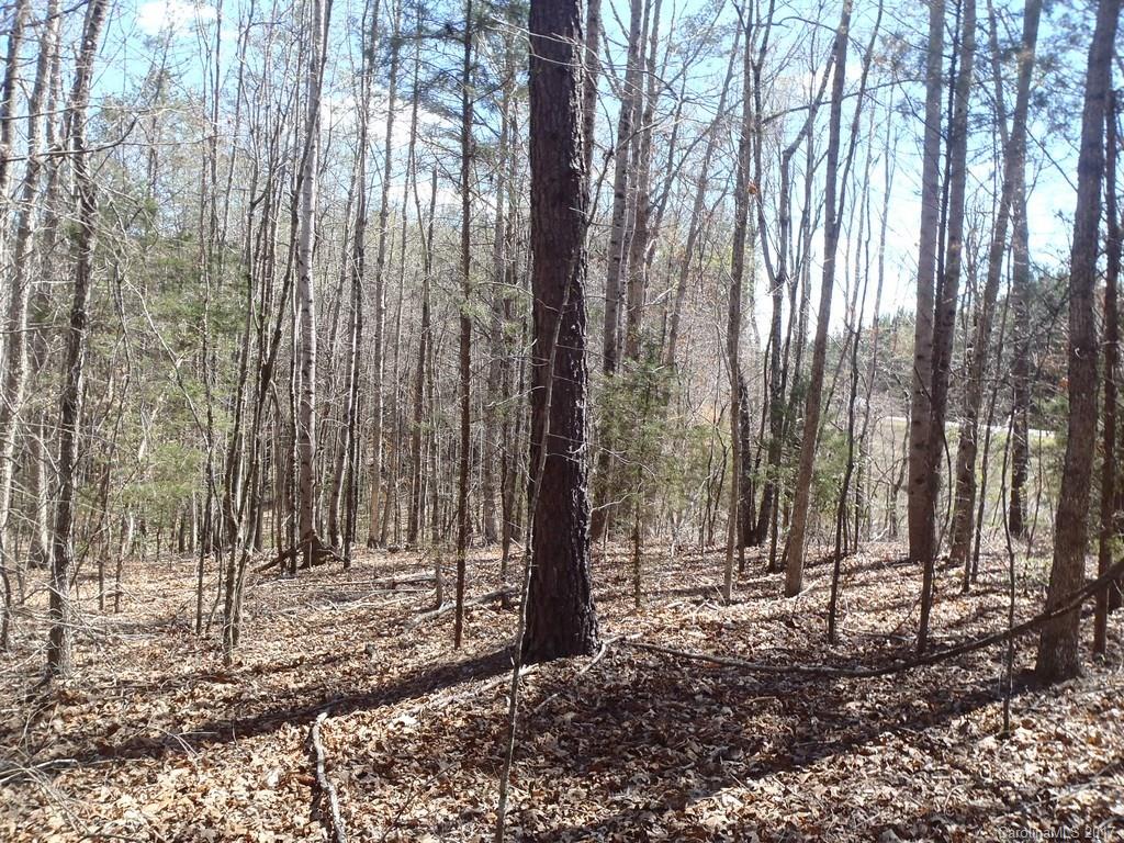 Lot # Boy Scout Road, Unit 16 Union Mills, NC 28167 - Photo 10 of 13 Gallery Image 10