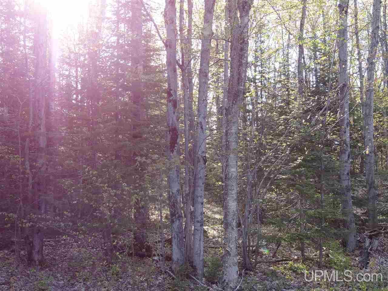 Tbd Rauhala Road, Unit PARCEL 3 Atlantic Mine, MI 49931 - Photo 12 of 19