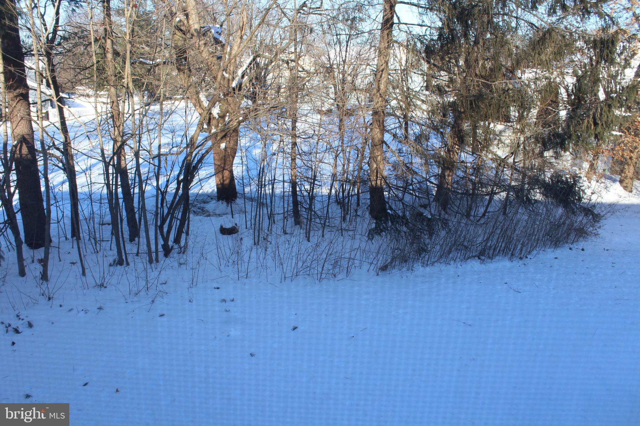 178 Elephant Road, Unit A6 Dublin, PA 18917 - Photo 18 of 19 a view of a dry yard with trees