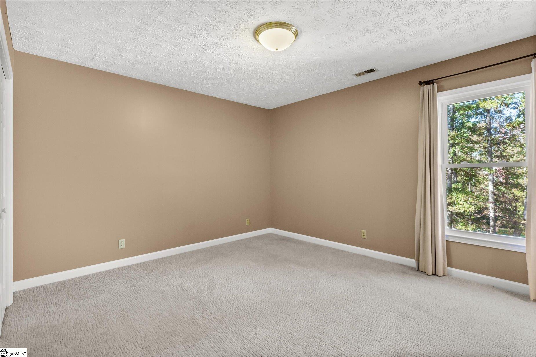 96 West Hackney Road Greer, SC 29650 - Photo 40 of 50 Gallery Image 40