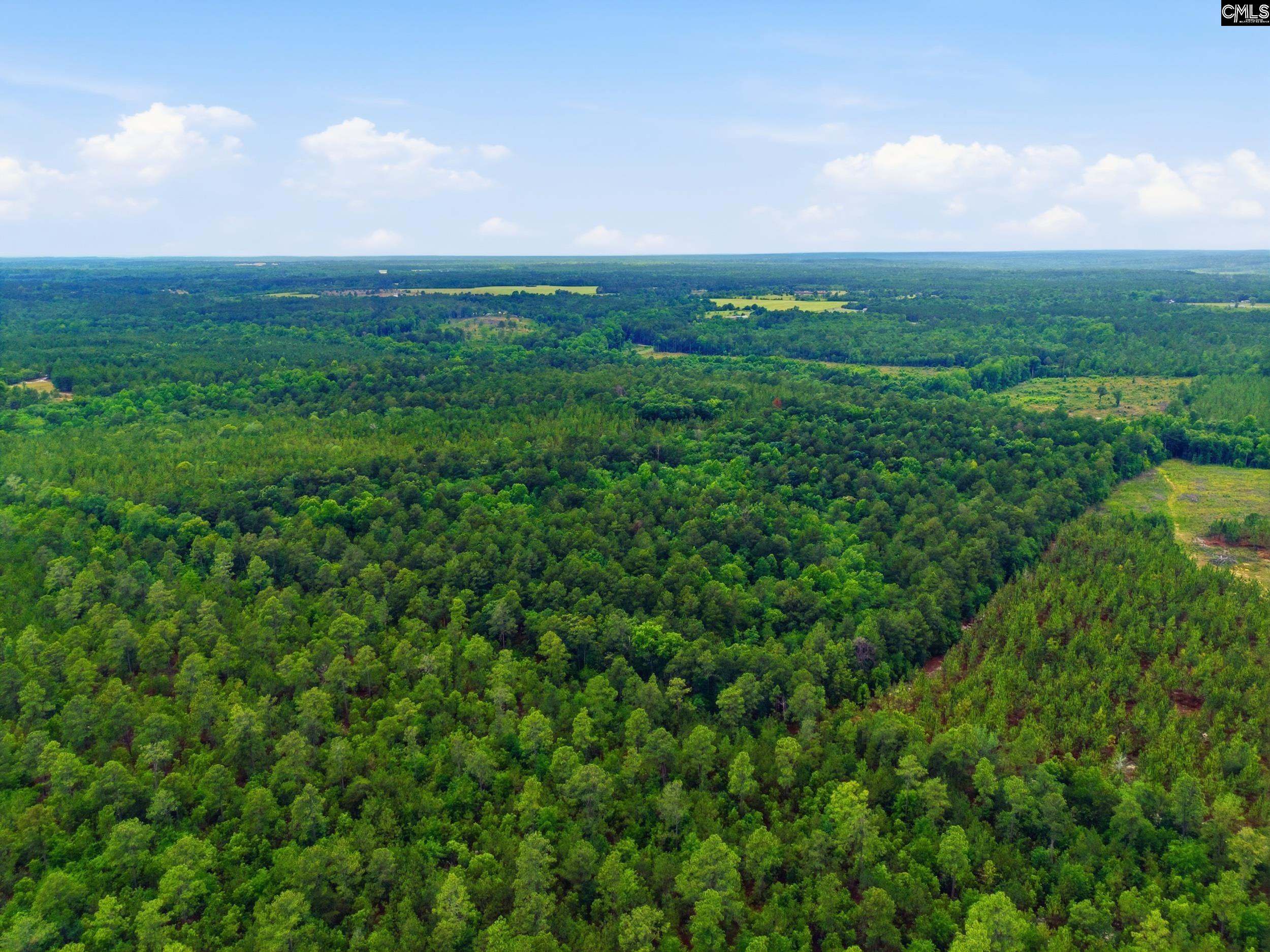 3390 State Rd S-28-496 Kershaw, SC 29067 - Photo 10 of 26