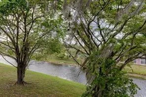 a view of yard with trees