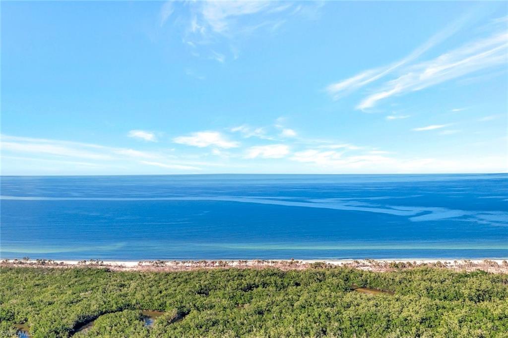 6573 Marissa Loop, Unit 303 Naples, FL 34108 - Photo 24 of 31 a view of an ocean