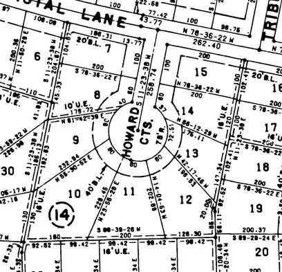 a view of a plant with of a tree