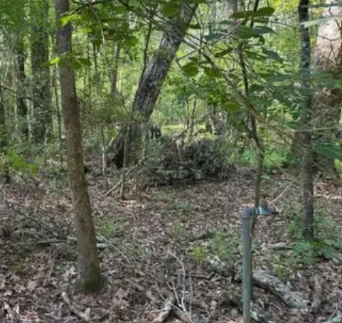 $2,499 | Lot 11 Cristal Lane, New Caney, TX 77357