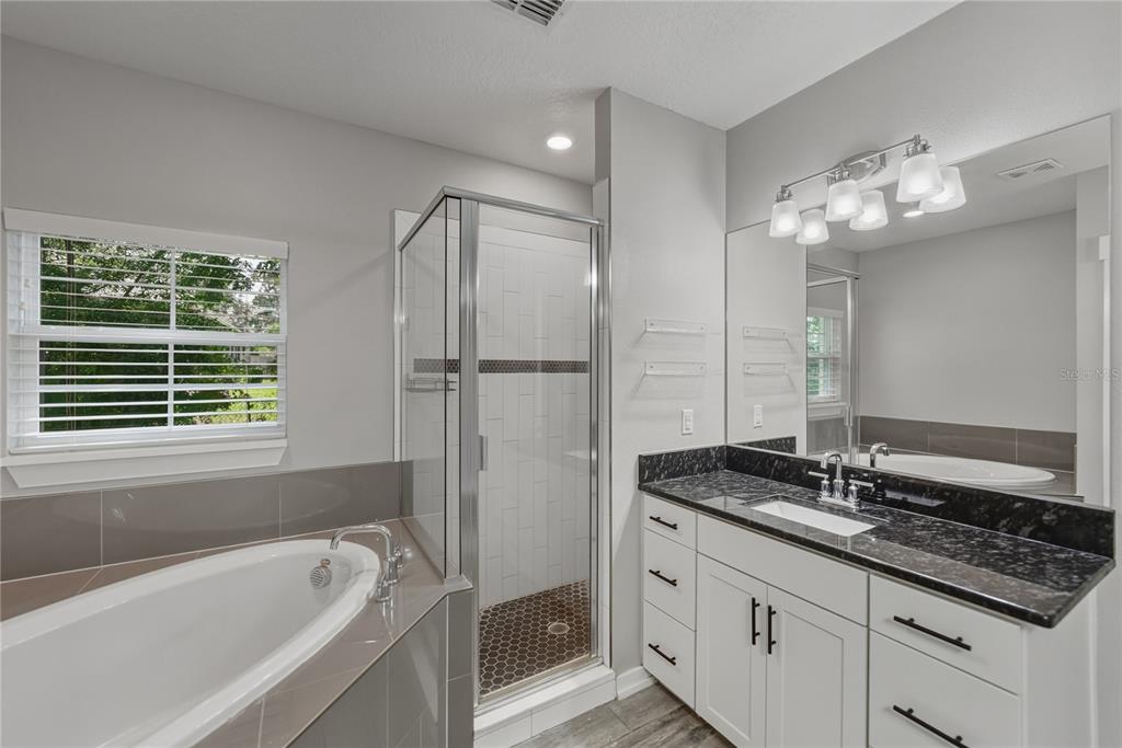 13907 9th Street Dade City, FL 33525 - Photo 24 of 43 a bathroom with a granite countertop bathtub a sink and a large mirror