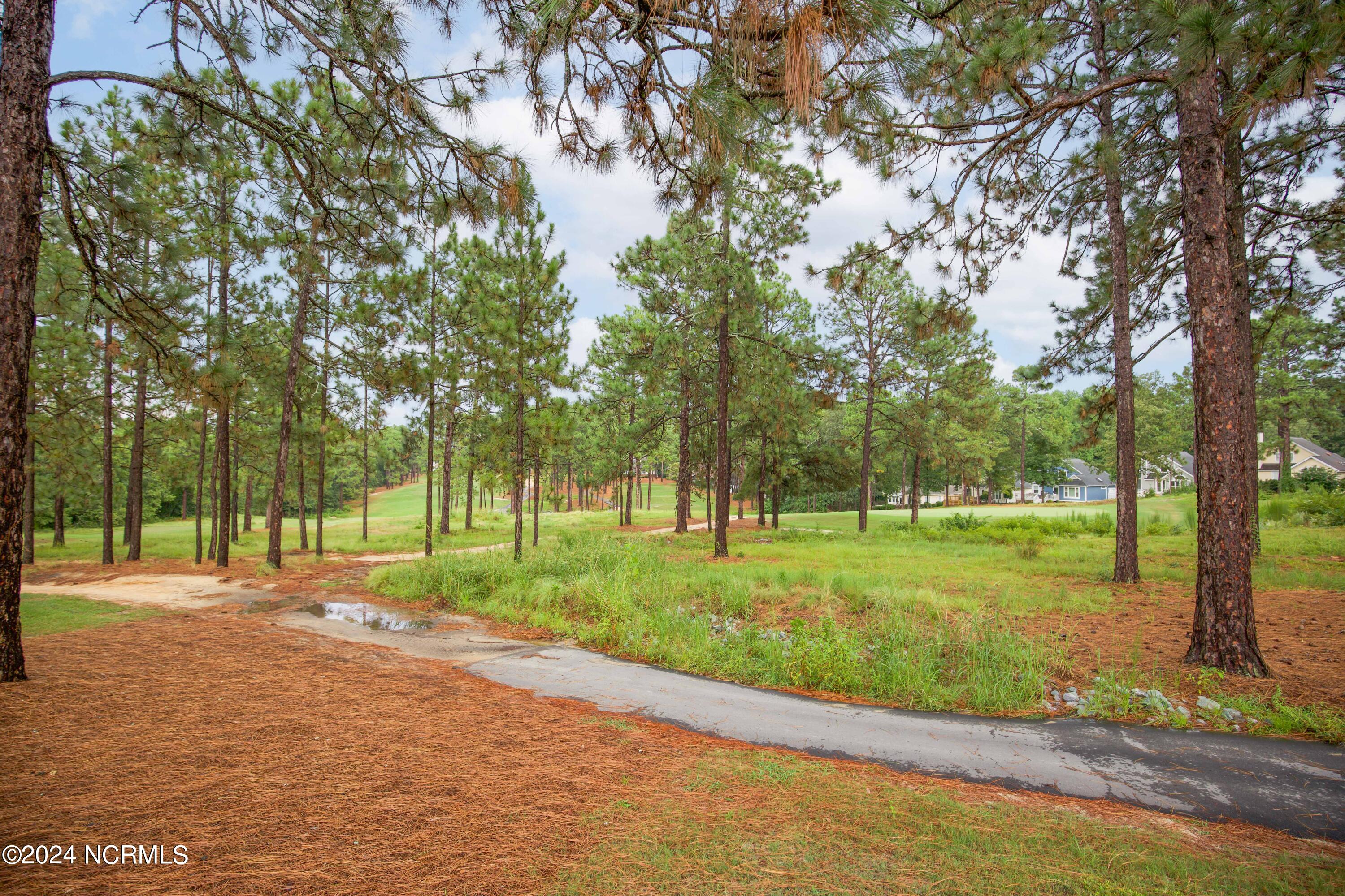 287 Knoll Road Southern Pines, NC 28387 - Photo 54 of 55