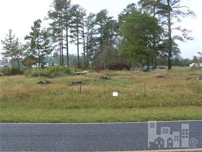 379 Garden Road Willard, NC 28478 - Photo 1 of 1 Primary Photo