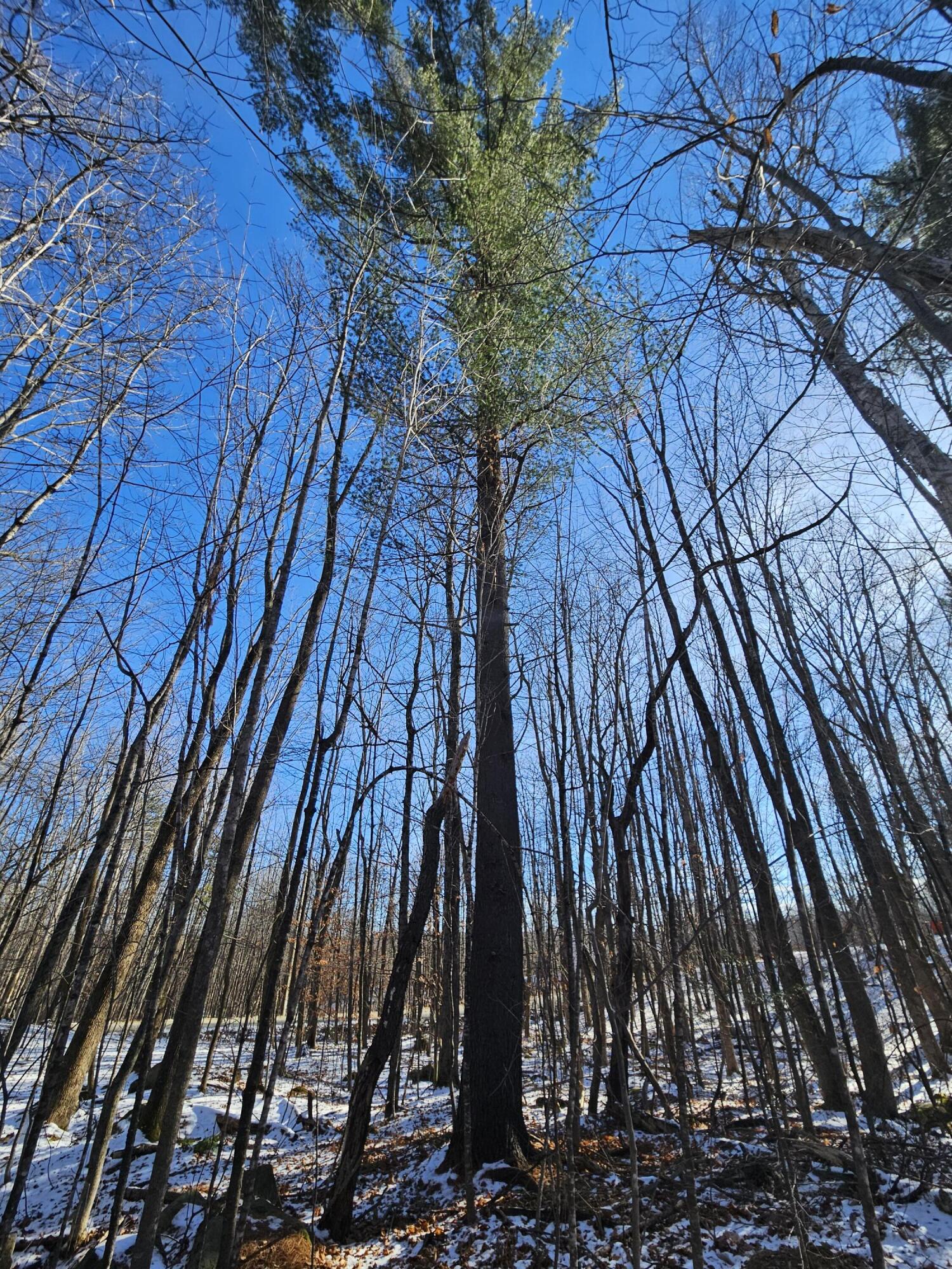 R09-l13-3 Ski Slope Road Farmington, ME 04938 - Photo 7 of 12 20251120_100658