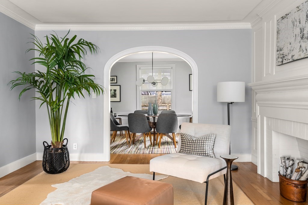 79 University Road, Unit 2 Brookline, MA 02445 - Photo 6 of 35 a living room with furniture and a potted plant