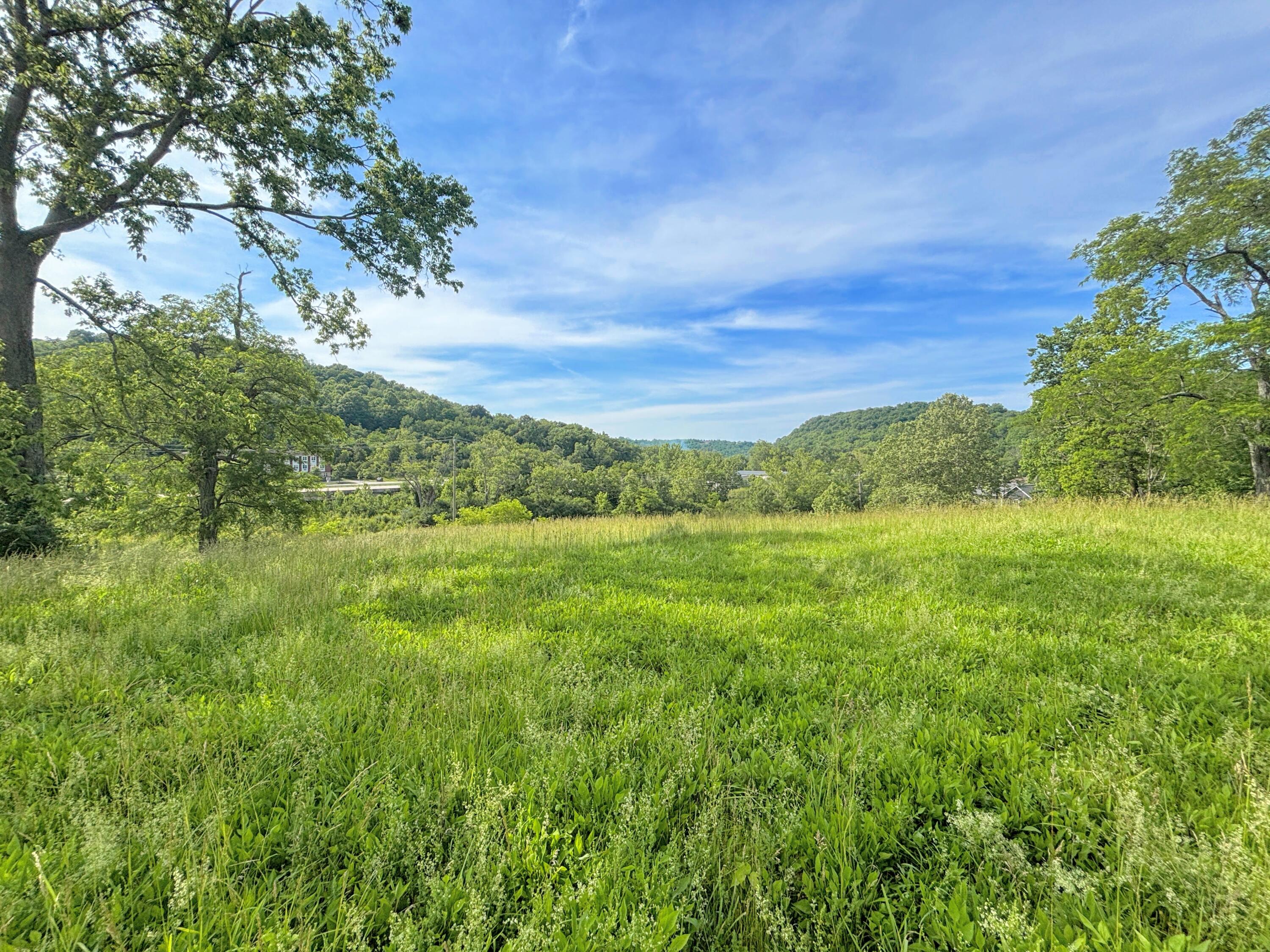 303 Madison Pike Fort Mitchell, KY 41017 - Photo 8 of 9