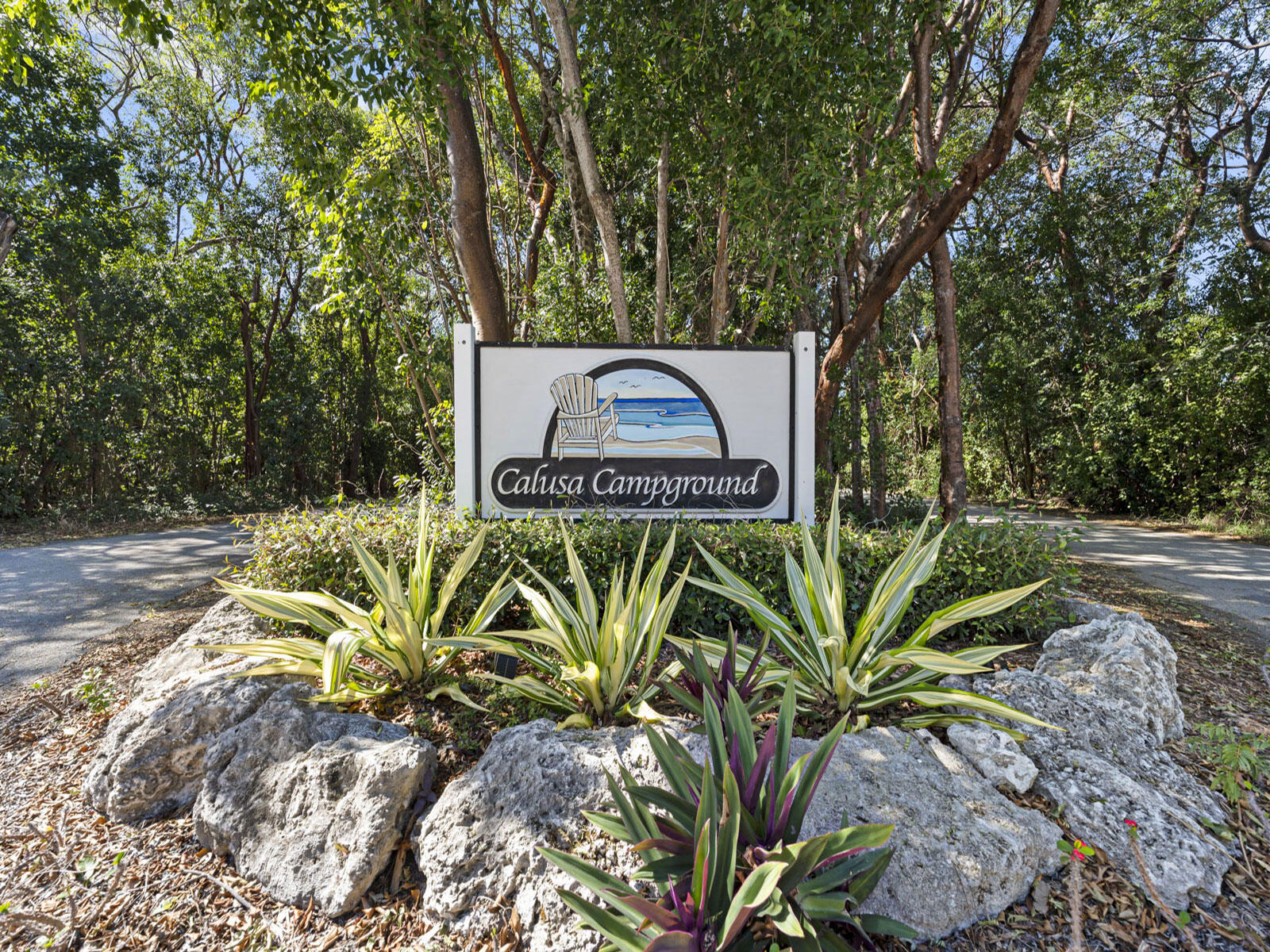 325 Calusa Street, Unit 321 Key Largo, FL 33037 - Photo 54 of 55 DSC08850