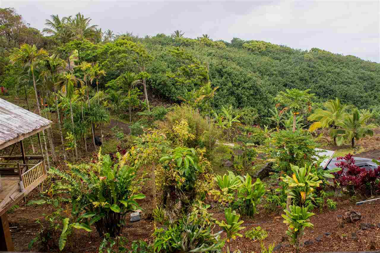 98 Mokupapa Road, Unit 2 Haiku, HI 96708 - Photo 7 of 30 a view of a garden with a tree