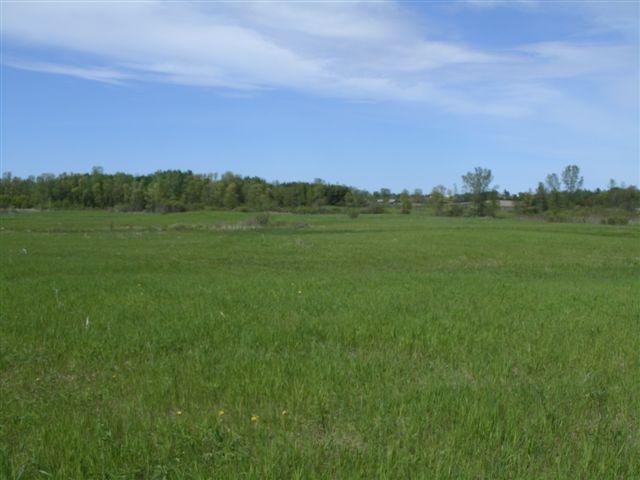 Lt99 Polifka Road Reedsville, WI 54230 - Photo 1 of 1 Polifka Rd
