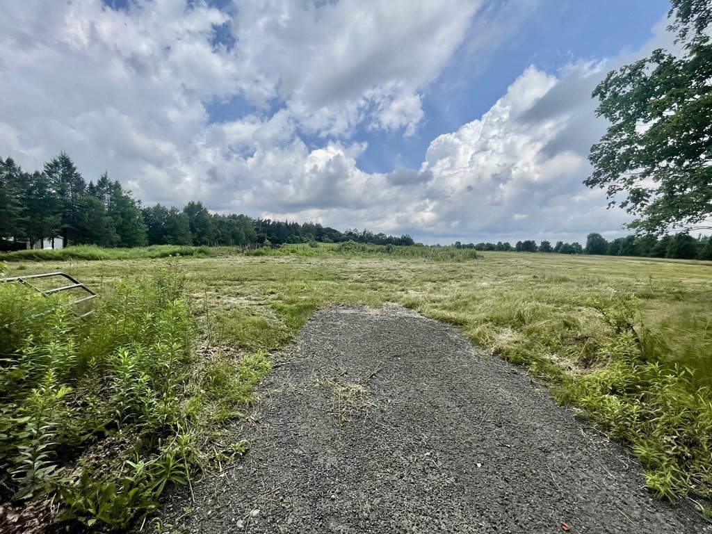 a view of a field with an trees