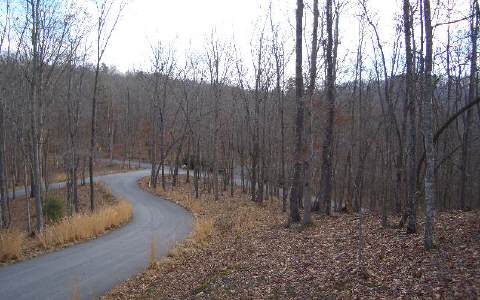Lot 1 Hunter Ridge Morganton, GA 30560 - Photo 1 of 1 Main View