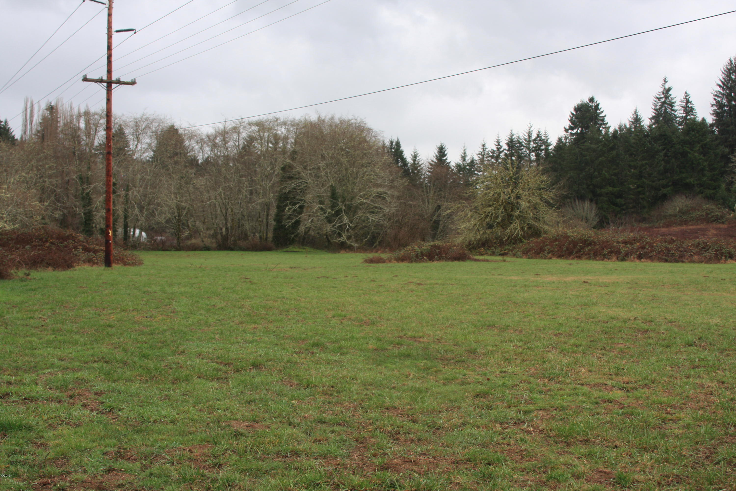 745 Olalla Road Toledo, OR 97391 - Photo 4 of 4 IMG_0940