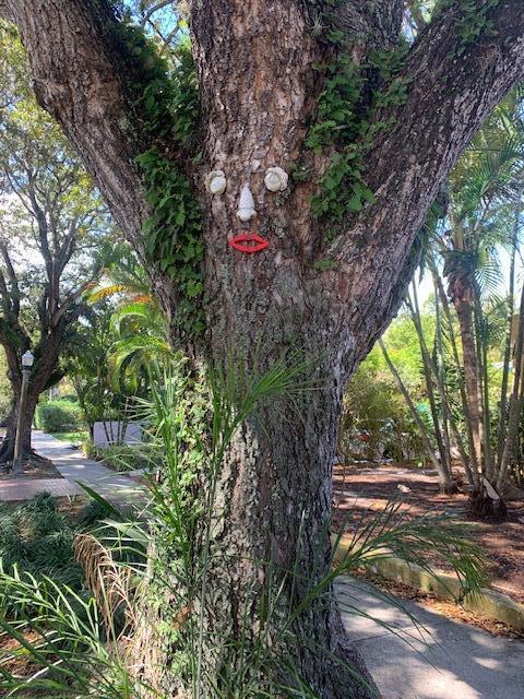 805 Sunset Road West Palm Beach, FL 33401 - Photo 2 of 21 Happy tree