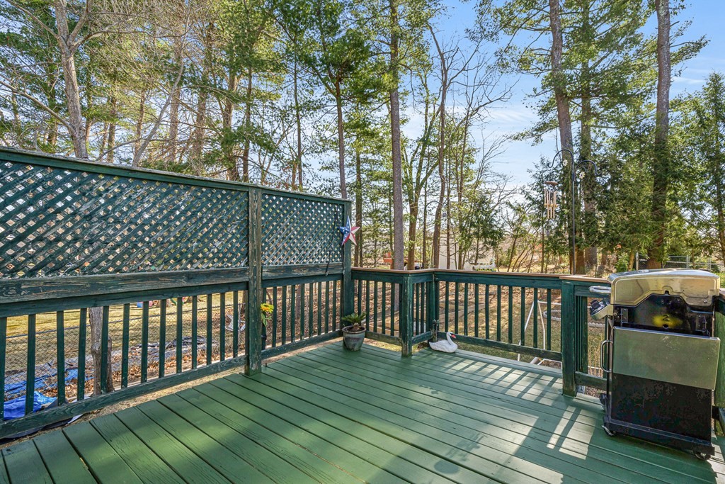 331 Totman Road Lowell, MA 01854 - Photo 32 of 36 Gallery Image 32