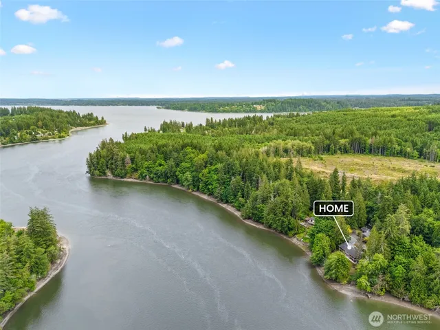 a view of a pathway both side of river and trees