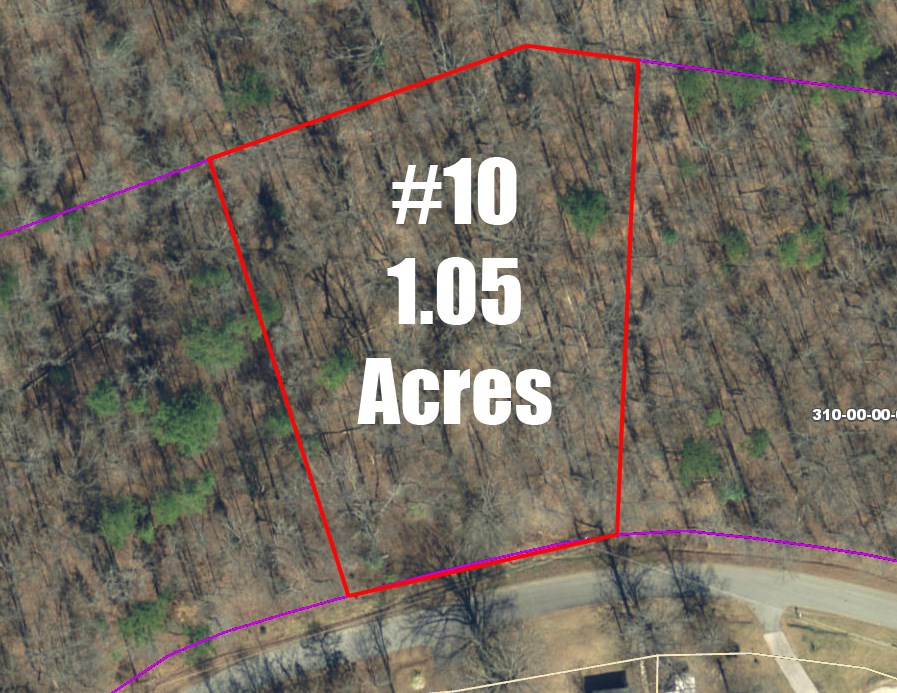 0 Cunningham Slough Road Waterloo, SC 29384 - Photo 10 of 31