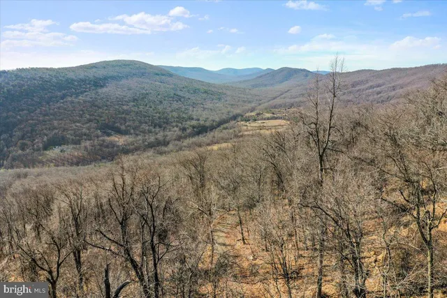 a view of a dry yard with mountains in the background