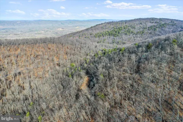 a view of a lake with a mountain