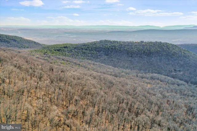 a view of beach and ocean