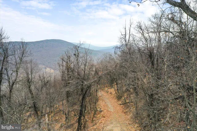 a view of a dry yard with mountains and a building