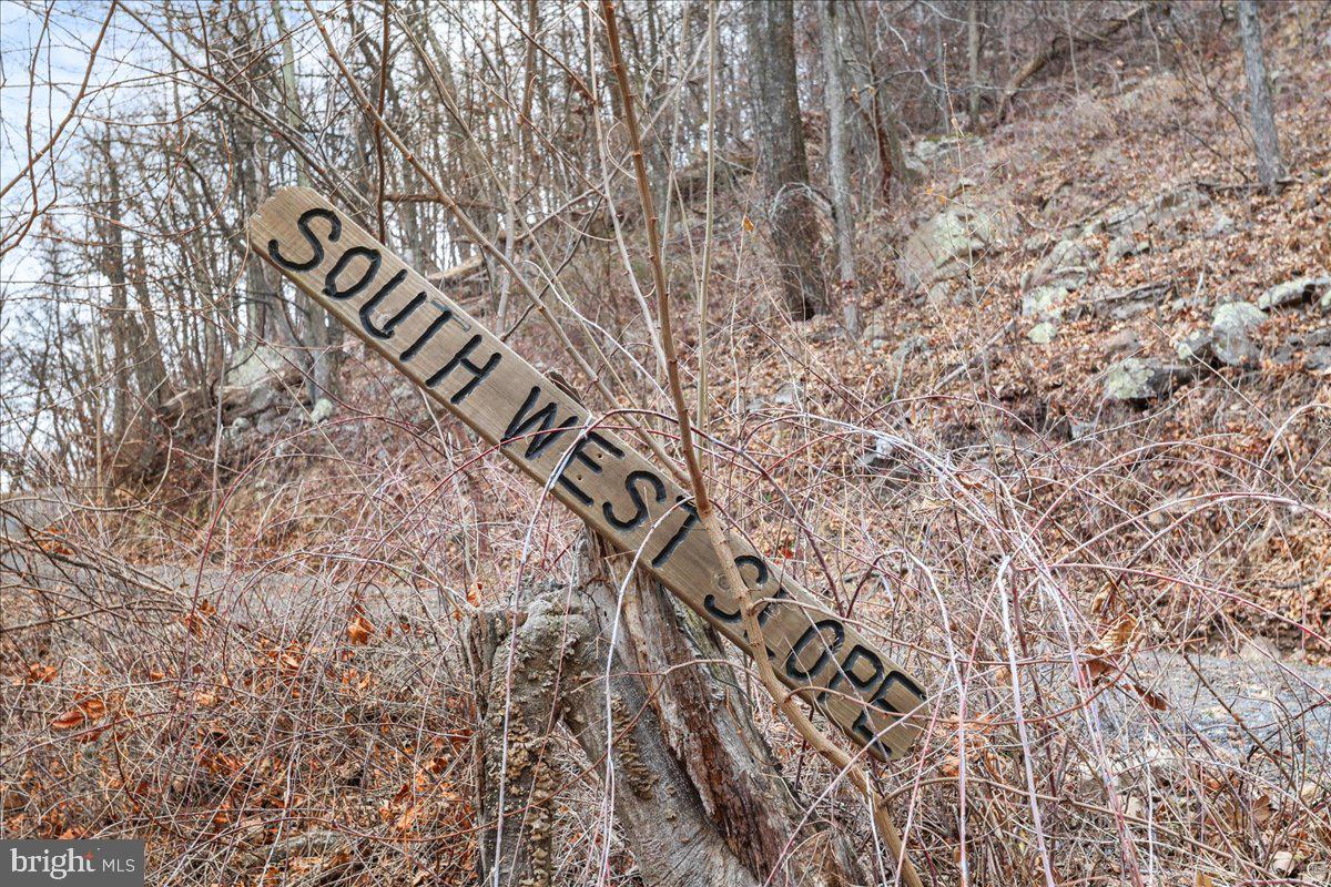 Tbd Southwest Slope Lane Star Tannery, VA 22654 - Photo 6 of 7 a view of a yard with trees