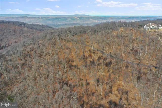 a view of a lake in middle of forest