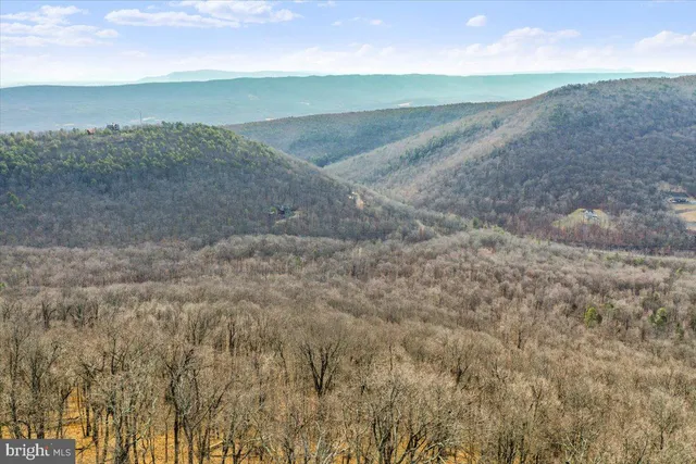 a view of a dry yard