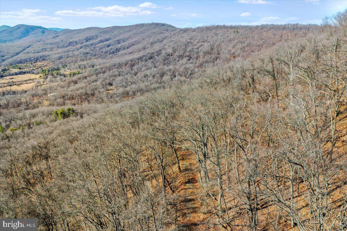Tbd Southwest Slope Lane Star Tannery, VA 22654 - Photo 10 of 13 a view of a dry yard with mountains in the background