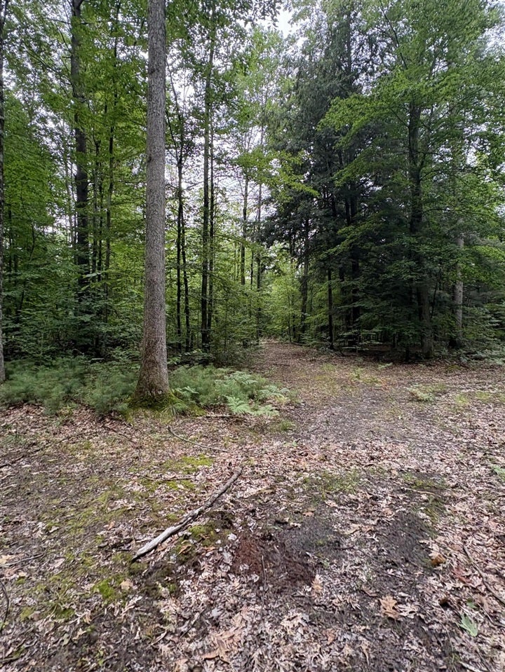 5 5 Mile Road Howard City, MI 49329 - Photo 57 of 99 Gallery Image 57
