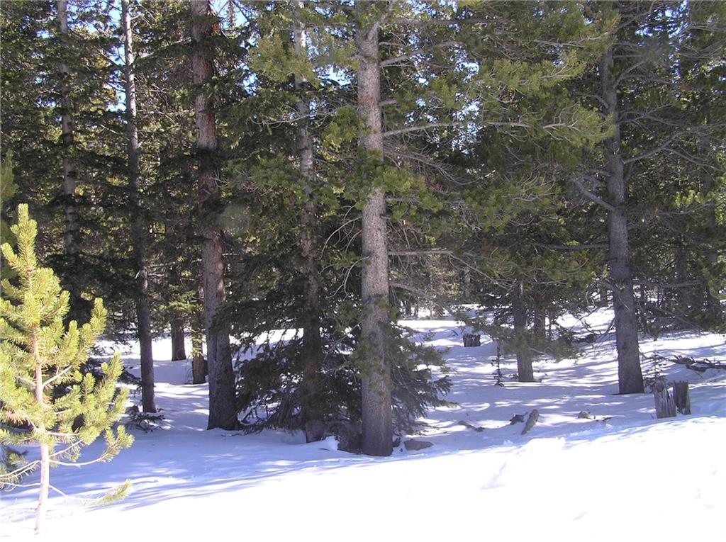 525 Porcupine Road Fairplay, CO 80440 - Photo 3 of 7 Gallery Image 3