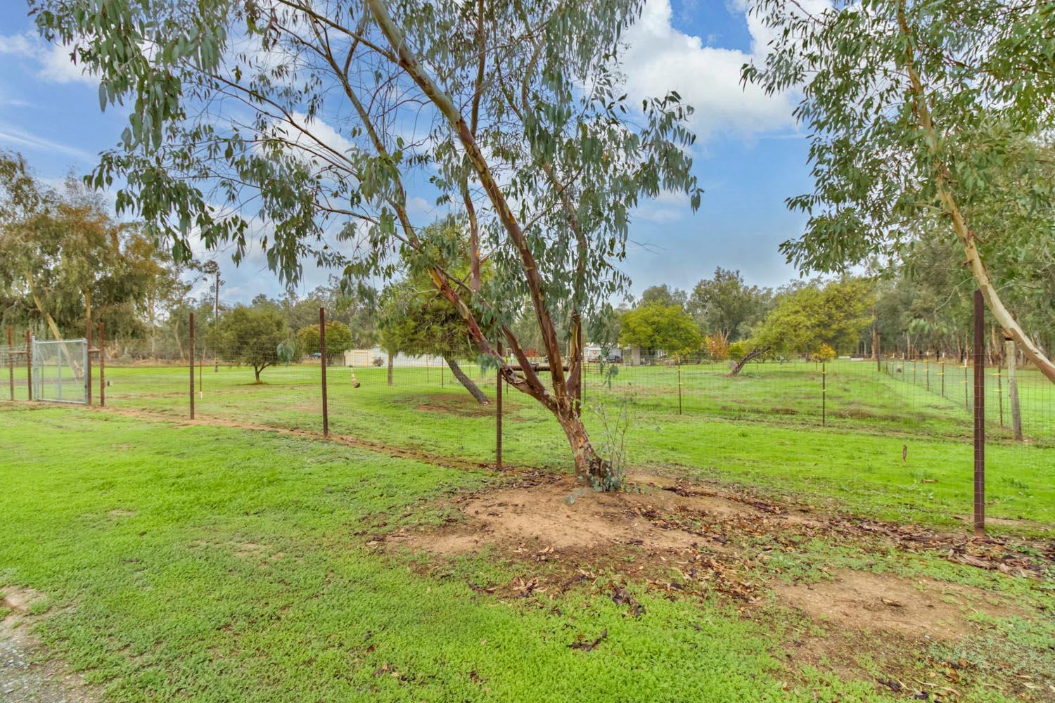 13435 Bennett Road Herald, CA 95638 - Photo 33 of 80 a view of a park