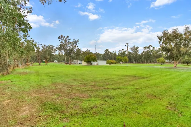 a view of backyard of house and trees