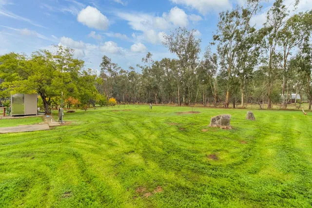 a view of yard with trees