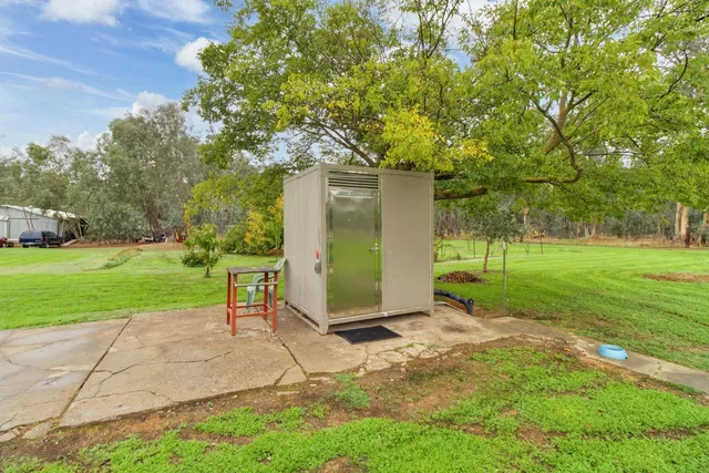 a view of a garden with plants and a building