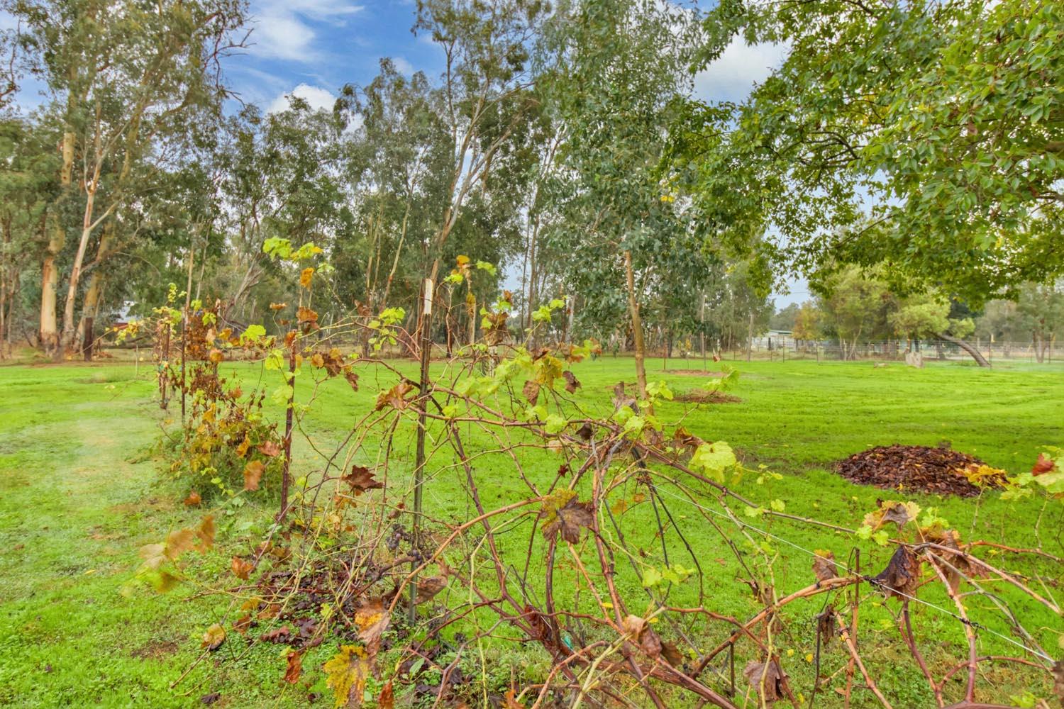 13435 Bennett Road Herald, CA 95638 - Photo 51 of 80