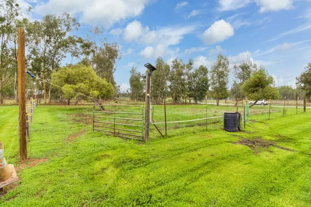 a view of a park with large trees
