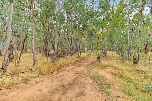 $599,500 | 13435 Bennett Road, Herald, CA 95638