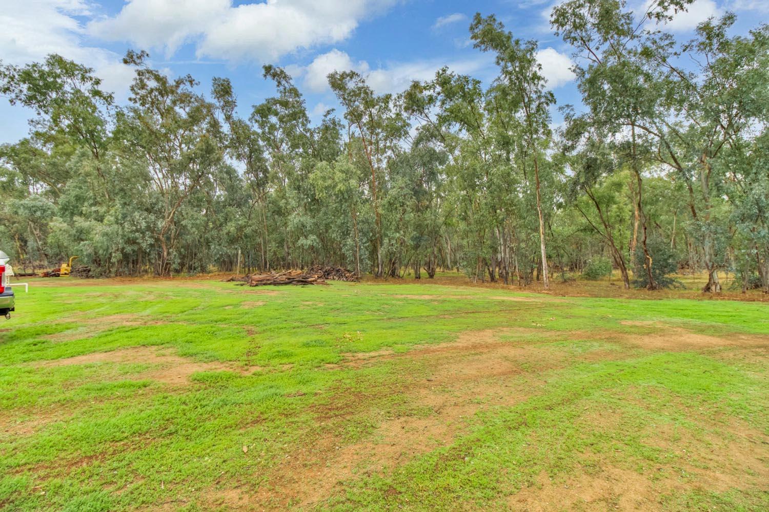 13435 Bennett Road Herald, CA 95638 - Photo 71 of 80 a view of field with trees