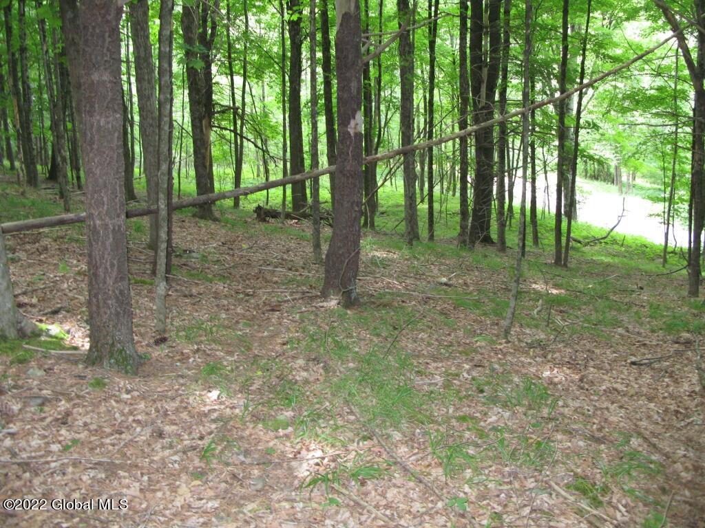 L23 Pleasant Valley Road Fultonham, NY 12071 - Photo 13 of 35 IMG_6017 (Medium)