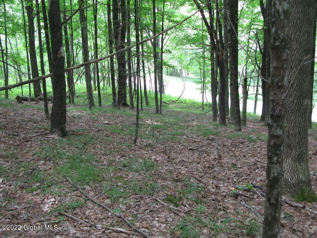 L23 Pleasant Valley Road Fultonham, NY 12071 - Photo 14 of 35 IMG_6018 (Medium)