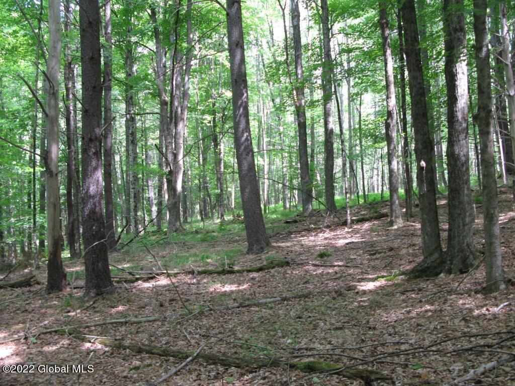 L23 Pleasant Valley Road Fultonham, NY 12071 - Photo 15 of 35 IMG_6019 (Medium)