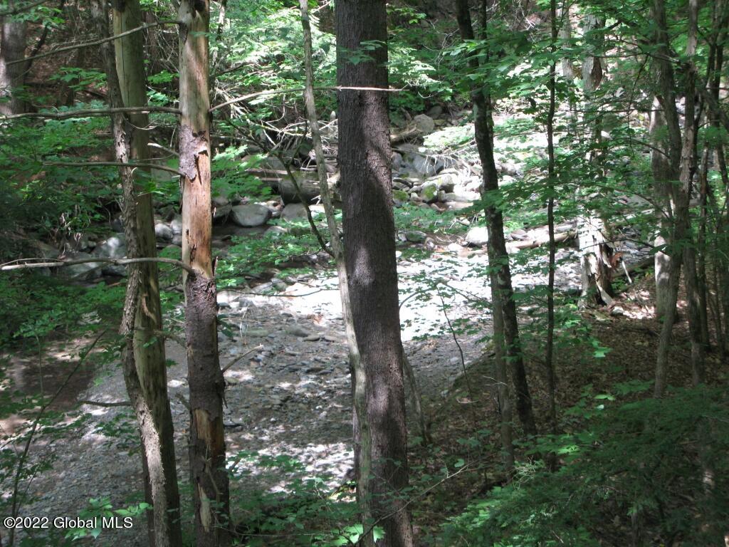 L23 Pleasant Valley Road Fultonham, NY 12071 - Photo 23 of 35 IMG_6031 (Medium)