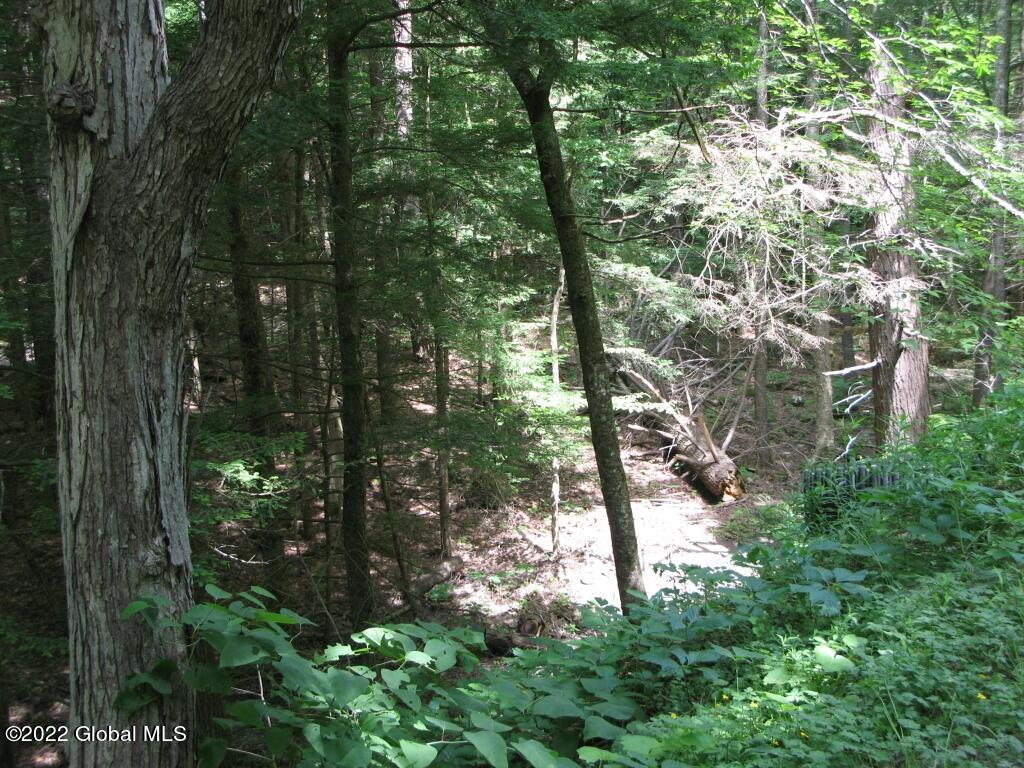 L23 Pleasant Valley Road Fultonham, NY 12071 - Photo 24 of 35 IMG_6032 (Medium)