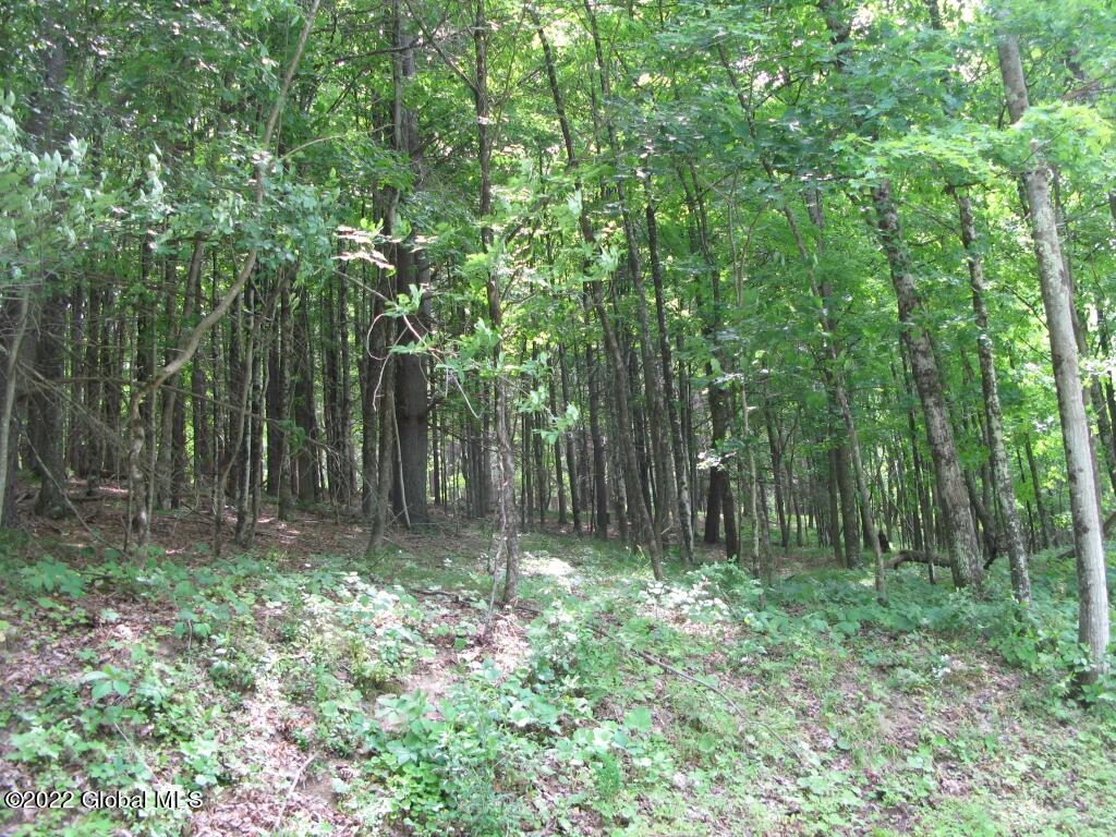 L23 Pleasant Valley Road Fultonham, NY 12071 - Photo 25 of 35 IMG_6034 (Medium)